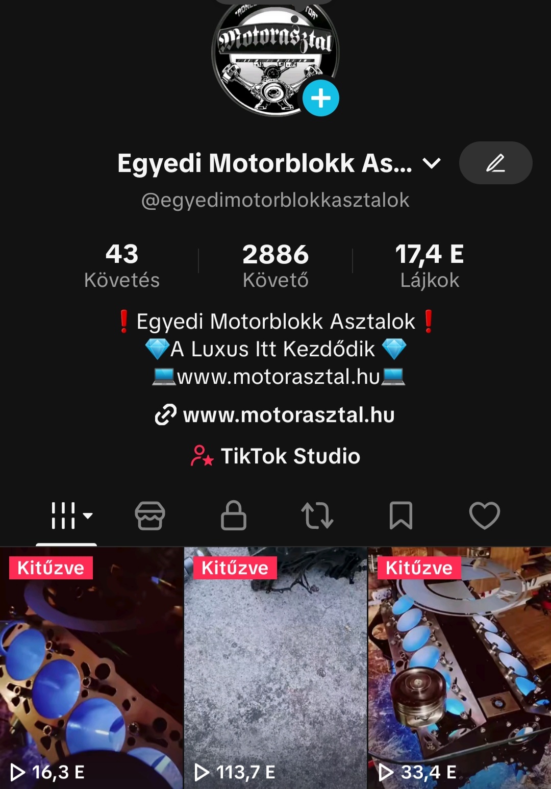 Tik-Tok Profil